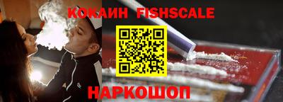 индика Можга