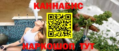 индика Можга