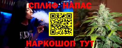 индика Можга