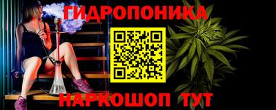 индика Можга