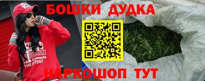 индика Можга